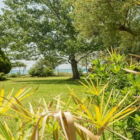 ヴィラ Hacienda Beachfront Villa, Spathies *